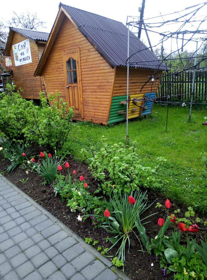"У Пасічника" Котедж Для Сім'Ї Яремча Экстерьер фото